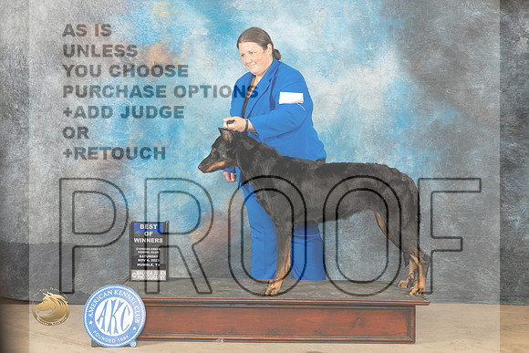 Beauceron #6 Sat BOW Judge Jill Warren r_JP_0040_CCKC2023_HR3