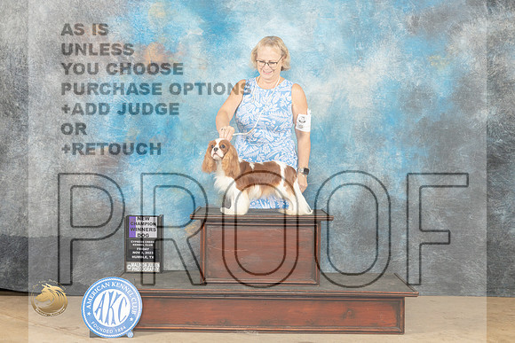 Cavalier King Charles Spaniel #9 Sat WDCH Judge Deborah Ferguson_JP_0059_CCKC2023_HR3