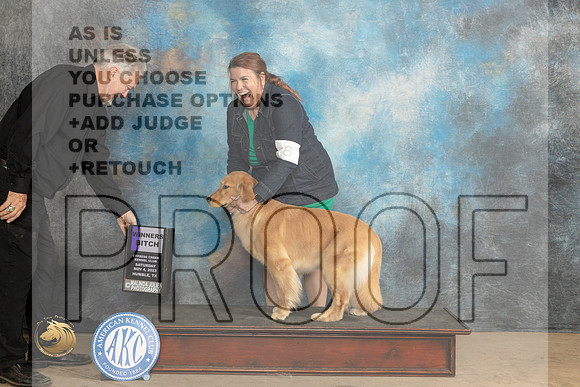 Golden Retreiver #6 Sat WB Judge Lori Nelson_JP_0069_CCKC2023_HR3