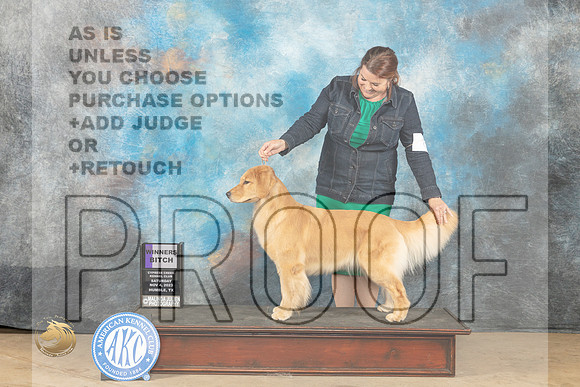 Golden Retreiver #6 Sat WB Judge Lori Nelson_JP_0071_CCKC2023_HR3