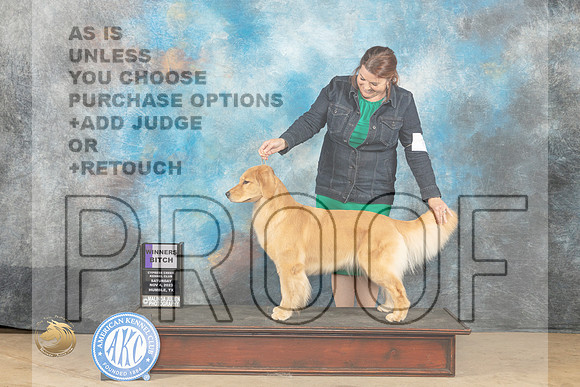 Golden Retreiver #6 Sat WB Judge Lori Nelson_JP_0073_CCKC2023_HR3