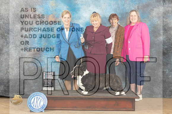 Cardigan Welsh Corgi #9 Sat SDGCH Judge Jill Warren_JP_0119_CCKC2023_HR3