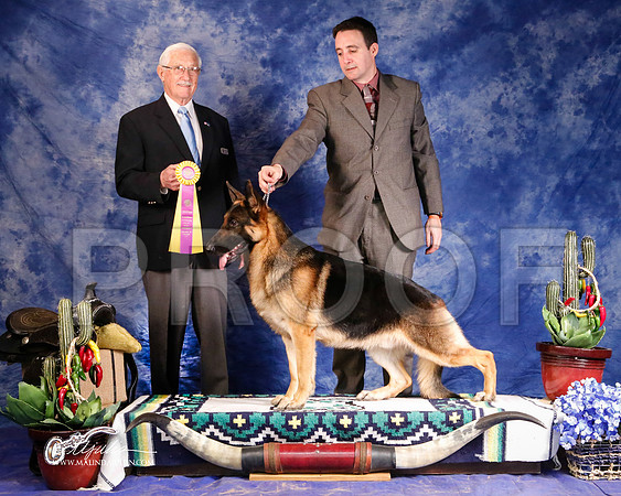GSD-0377-GRJan14-HR