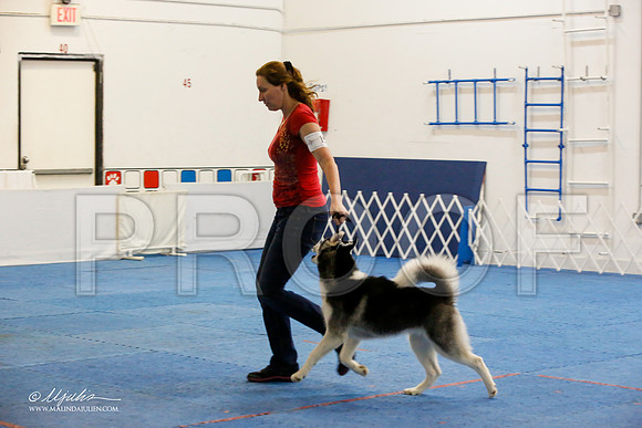 _M3_9426-AddisonHuskyMar2015-HR3