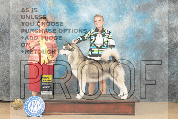 Alaskan Malamute #6 Sat G3 Judge Nancy Eilks_JP_0261_CCKC2023_HR3