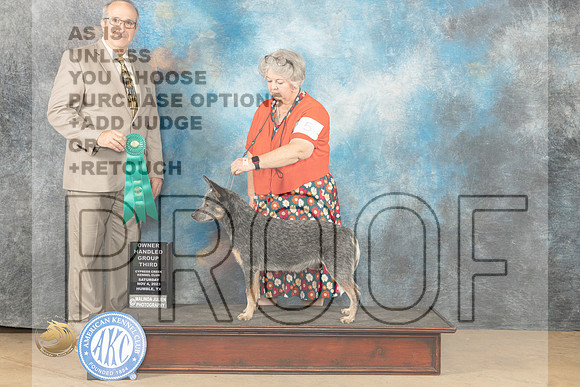 Australian Cattle Dog #5 Sat OHG3 Judge John Shoeneman_JP_0247_CCKC2023_HR3