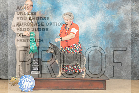 Australian Cattle Dog #5 Sat OHG3 Judge John Shoeneman_JP_0249_CCKC2023_HR3