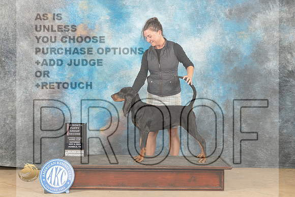 Black and Tan Coonhound #8 Sat 4to6PG2 Judge Dianne Kroll_JP_0241_CCKC2023_HR3