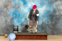 Cairn #6 Sat G4 Judge Debra Ferguson