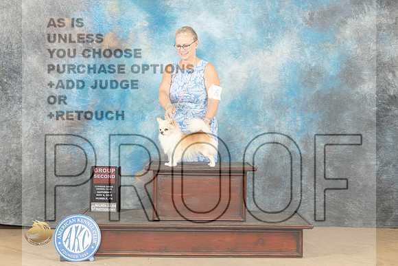 Chihuahua Longhaired #15 Sat G2 Judge Debra Ferguson_JP_0399_CCKC2023_HR3