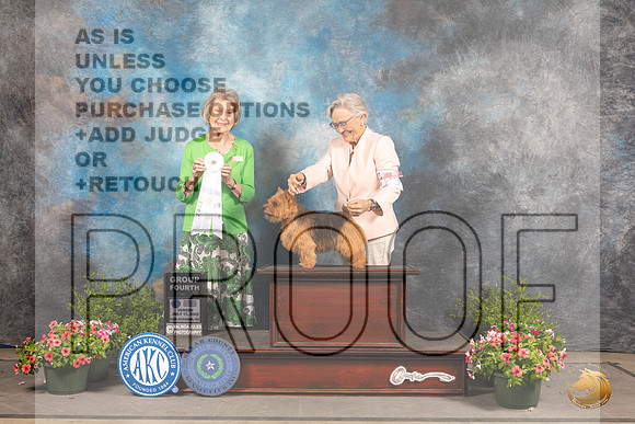 Norwich Terrier #23 Sun G4 Judge Anne Bolus_MJ_1552_SA_2022_HR3