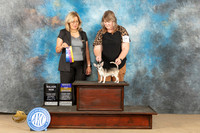 Chihuahua Smooth #9 Sat BOBM Judge Debra Ferguson