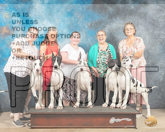 Great Dane Family Fri-MMJ_2915-Addison2022-HR3