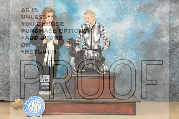 Cocker Spaniel #7 Sat SD Judge Stephanie Kaul_JP_0300_CCKC2023_HR3