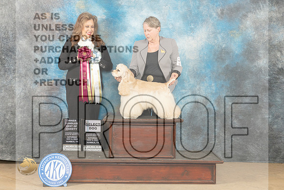 Cocker Spaniel ASCOB #5 Sat SDOHBOV Judge Stephanie Kaul_JP_0350_CCKC2023_HR3