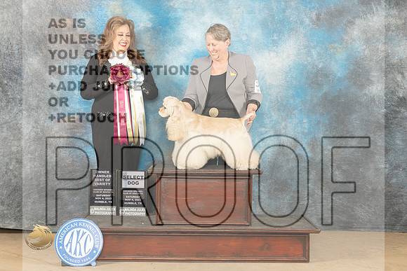 Cocker Spaniel ASCOB #5 Sat SDOHBOV Judge Stephanie Kaul_JP_0356_CCKC2023_HR3