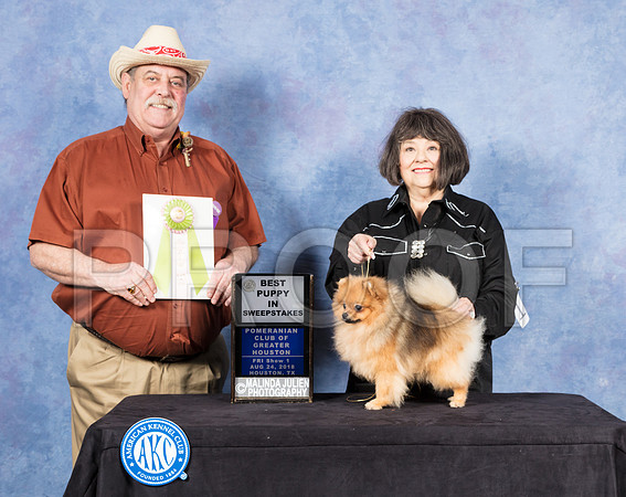 Pomeranian #10 Fri Best Puppy in Show Judge Keith Luparous-SSR_8758-Hstn2018-HR3
