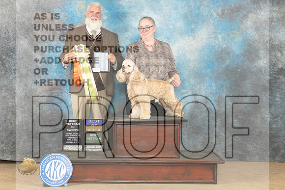 Cocker Spaniel ASCOB #7 Sat BOVBOBVet Judge Matthew Proctor_JP_0184_CCKC2023_HR3