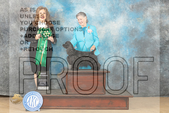 Cocker Spaniel Black #? BVet Judge Stephanie Kaul_JP_0226_CCKC2023_HR3