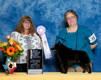 #15 S1 BOS Sweeps Barbara Murray & Sharon Ogden Judge Sherry K Gill