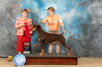 Doberman Pinscher #34 Sat G2 Judge Nancy Eilks