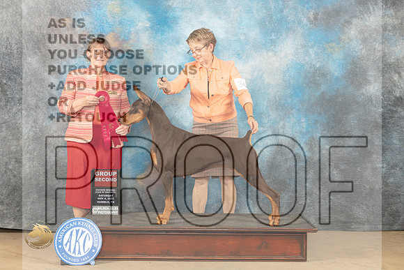 Doberman Pinscher #34 Sat G2 Judge Nancy Eilks_JP_0251_CCKC2023_HR3