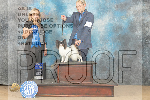 Papillon #15 Sat G1 Judge Debra Ferguson_JP_0372_CCKC2023_HR3