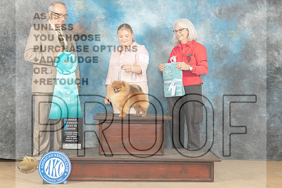 Pomeranian #7 Sat OHBIS Judge John Shoeneman_JP_0457_CCKC2023_HR3