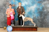 Whippet #7 Sat OHG1 Judge Nancy Eilks