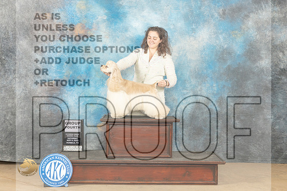 Cocker Spaniel #11 Sat G4 Judge Dianne Kroll_JP_0440_CCKC2023_HR3