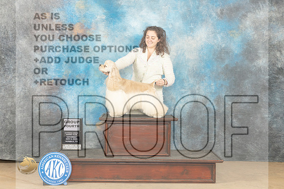 Cocker Spaniel #11 Sat G4 Judge Dianne Kroll_JP_0441_CCKC2023_HR3