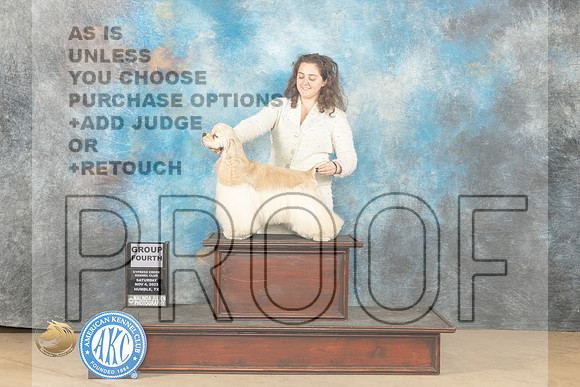 Cocker Spaniel #11 Sat G4 Judge Dianne Kroll_JP_0443_CCKC2023_HR3