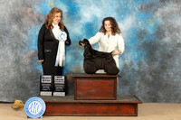 Cocker Spaniel #12 Sat SB Judge Stephanie Kaul