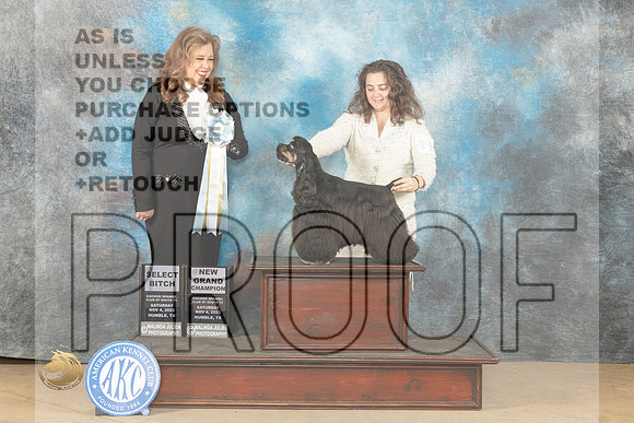 Cocker Spaniel #12 Sat SB Judge Stephanie Kaul_JP_0305_CCKC2023_HR3