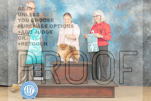 Pomeranian #7 Sat OHBIS Judge John Shoeneman_JP_0463_CCKC2023_HR3