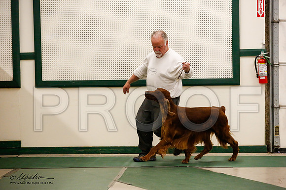 _JN_0882-NrmnNov2014-HR3