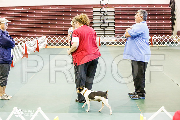 _JJ_3446-BsrCtyJun2014-HR3