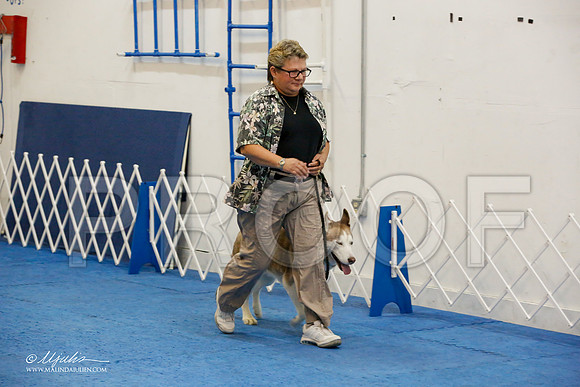 _M3_7855-AddisonHuskyMar2015-HR3