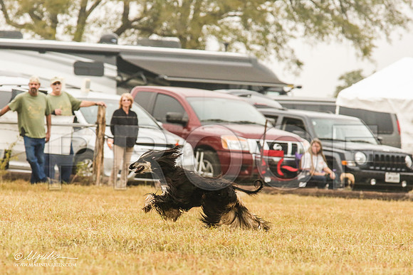 _MJ_2894-AfgBeltonOct2014-HR3