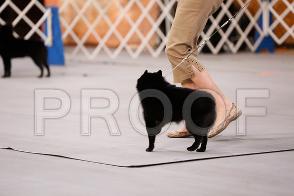 _RH_7471-CarlrolltonSept2014-HR3