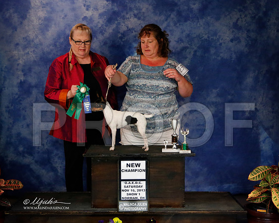 TFT-2-18-NormNov2013-HR