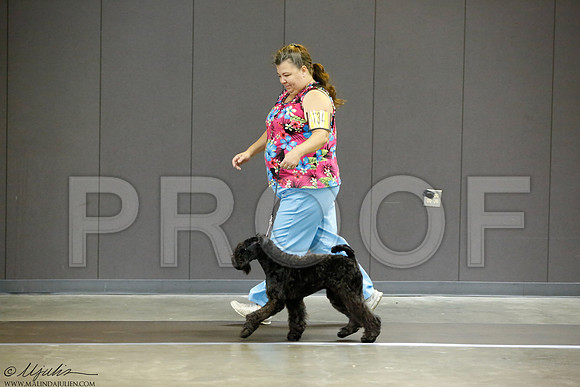 _J3L2069-BeltSep2014-HR