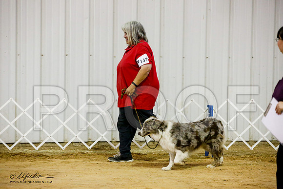 _JJ_0741-ASCACollegeStationNov2014-HR3