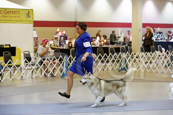 _JJ_9307-AmarilloSept2014-HR3