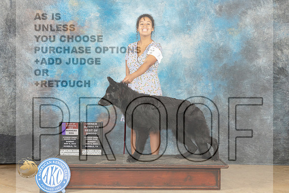 German Shepherd Dog #7 Sun 6to91WDBOS Judge John Schoeneman_JP_0607_CCKC2023_HR3