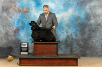 Cocker Spaniel #5 Sat SD Judge Stephanie Kaul