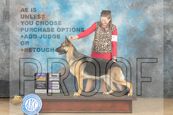 German Shepherd Dog #8 Sun BOBCH Judge John Schoeneman_JP_0604_CCKC2023_HR3