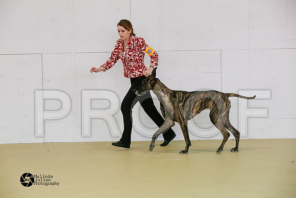 Guard--43-HtoJan2014-HR3