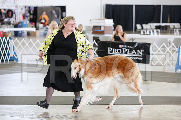 _JJ_1516-DallasJul2014-HR3