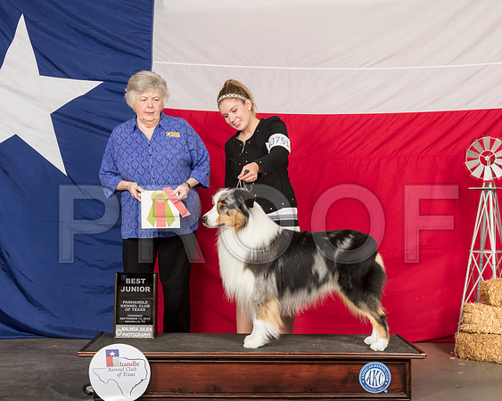 Australian Shepherd #J751 Best Jr Judge Claudia J Seaberg-SSR_0006-HR3